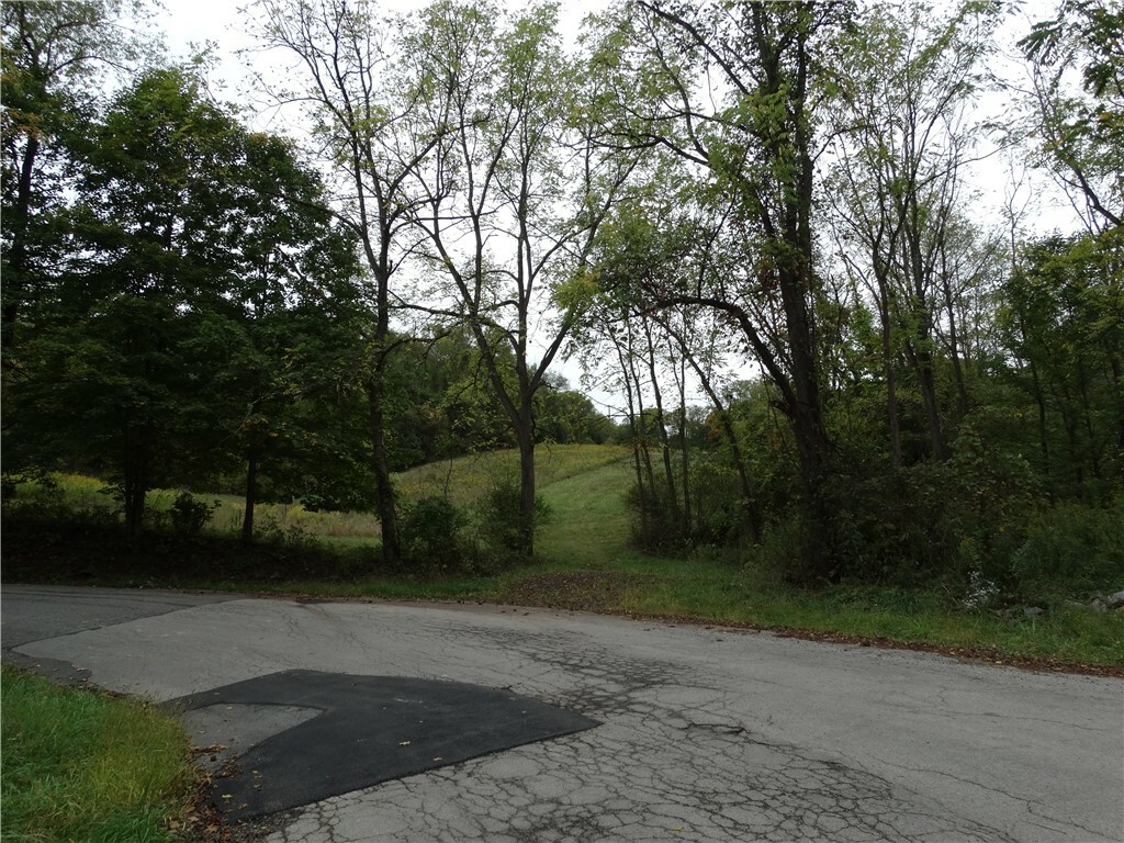 Property Photo:  291 Sygan Rd  PA 15057 