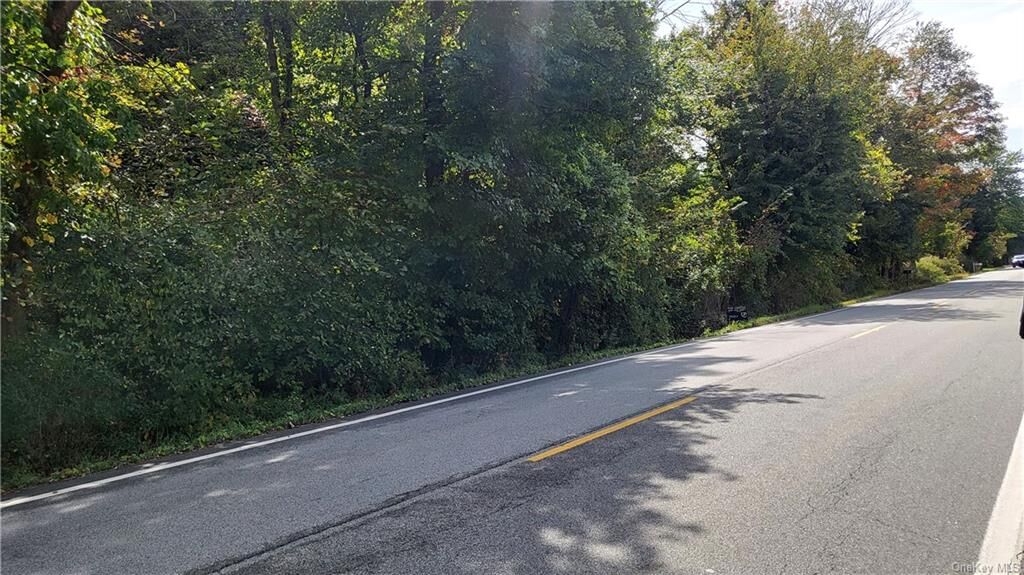 Property Photo:  248 Route 216  NY 12582 