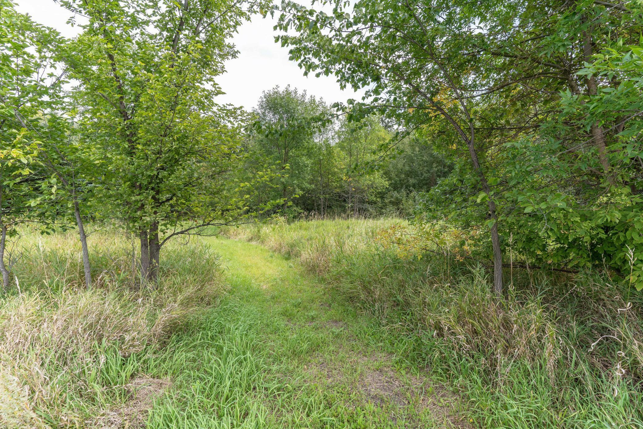 Property Photo:  Lot B 202nd Avenue  MN 56537 