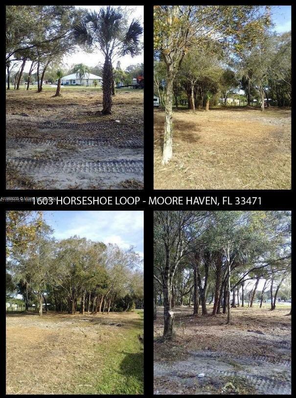 1603 Horseshoe Loop  Moore Haven FL 33471 photo