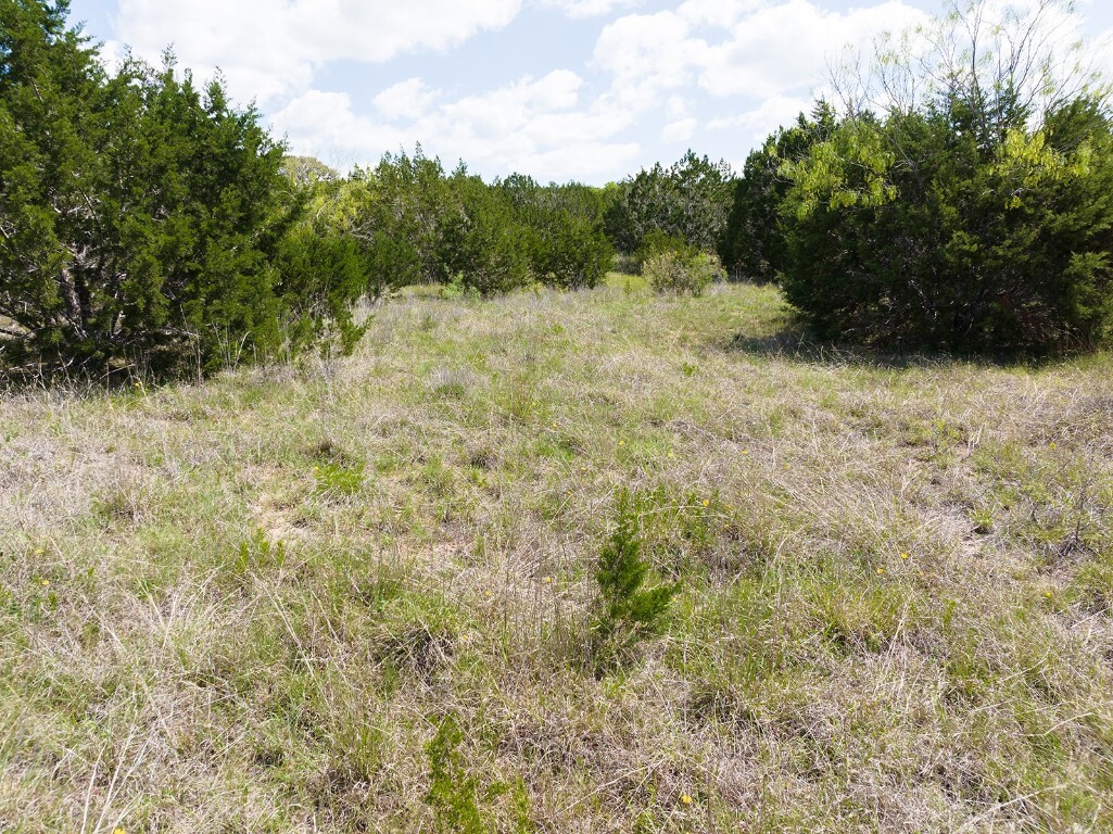 Property Photo: Lot 607 Murphy Drive TX 78605