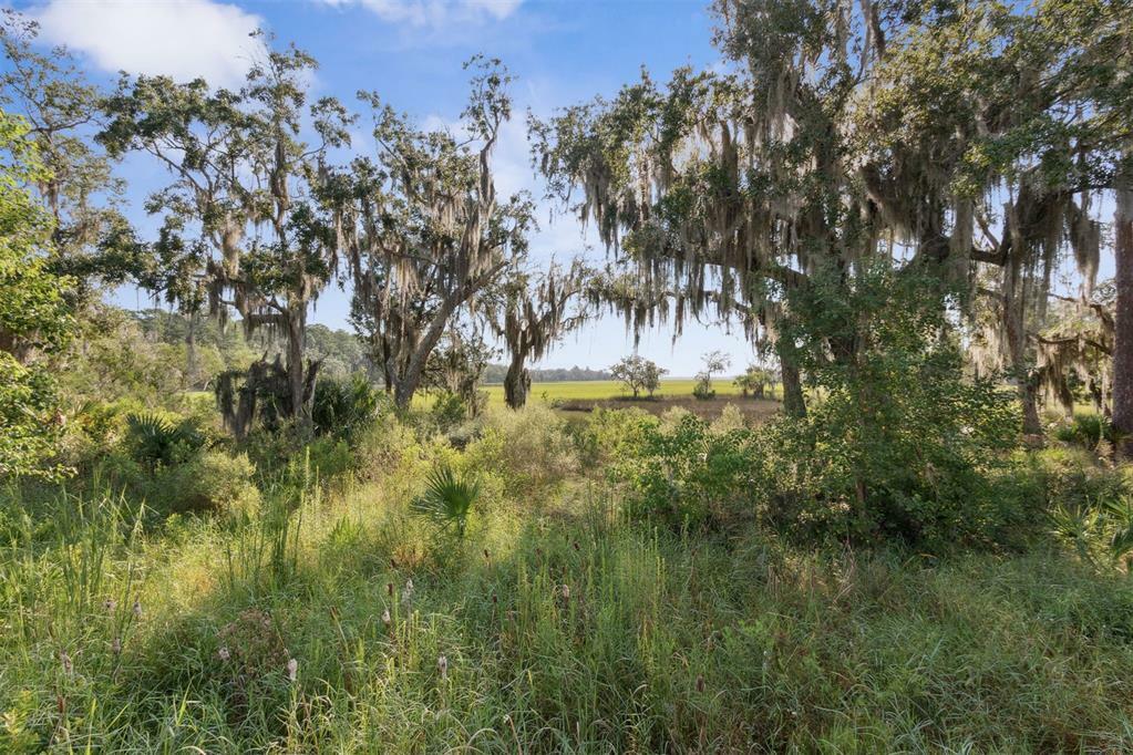 Property Photo:  95276 Amberwood Lane  FL 32034 