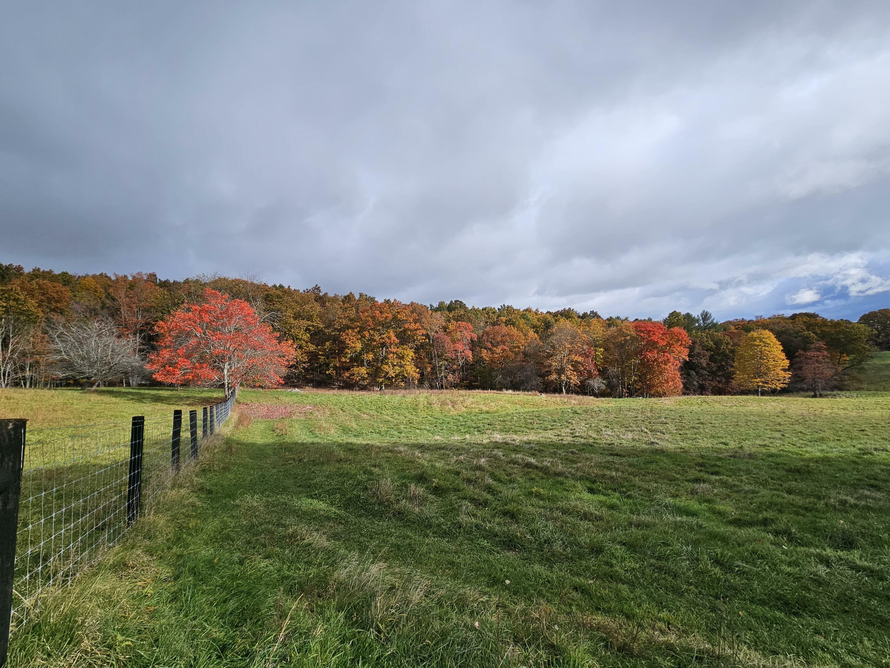 Property Photo:  3672 Blue Sulphur Pike  WV 24901 