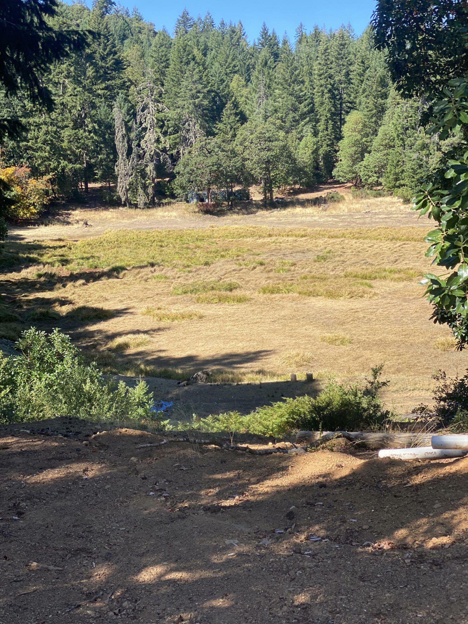 Property Photo:  1255 McDonald Creek Road  CA 95527 