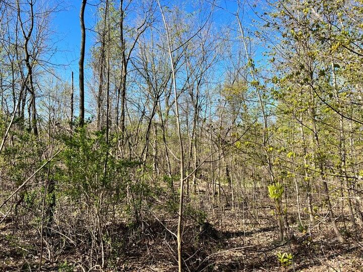 Property Photo: 8249 Parcel B M-139 MI 49103