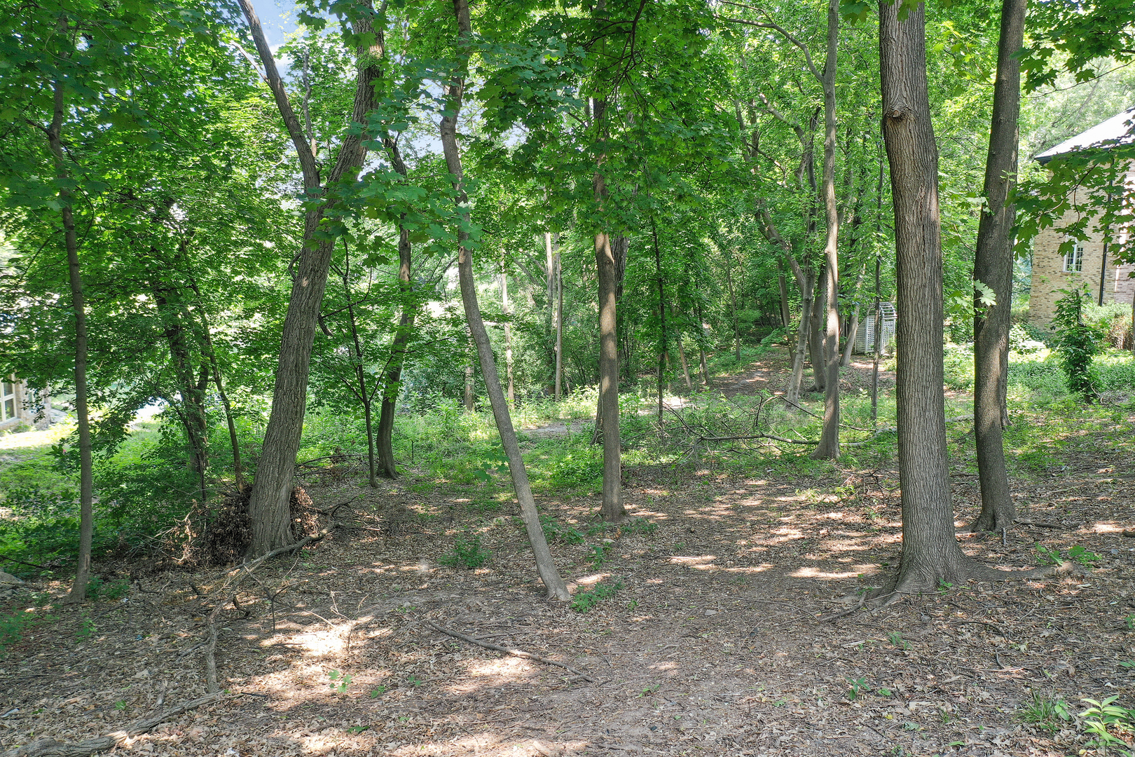 Property Photo:  910 Saint Stephens Green  IL 60523 