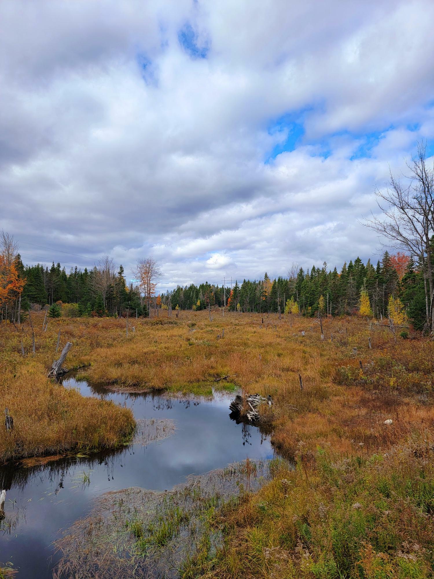 Property Photo:  284 Station Road  ME 04623 