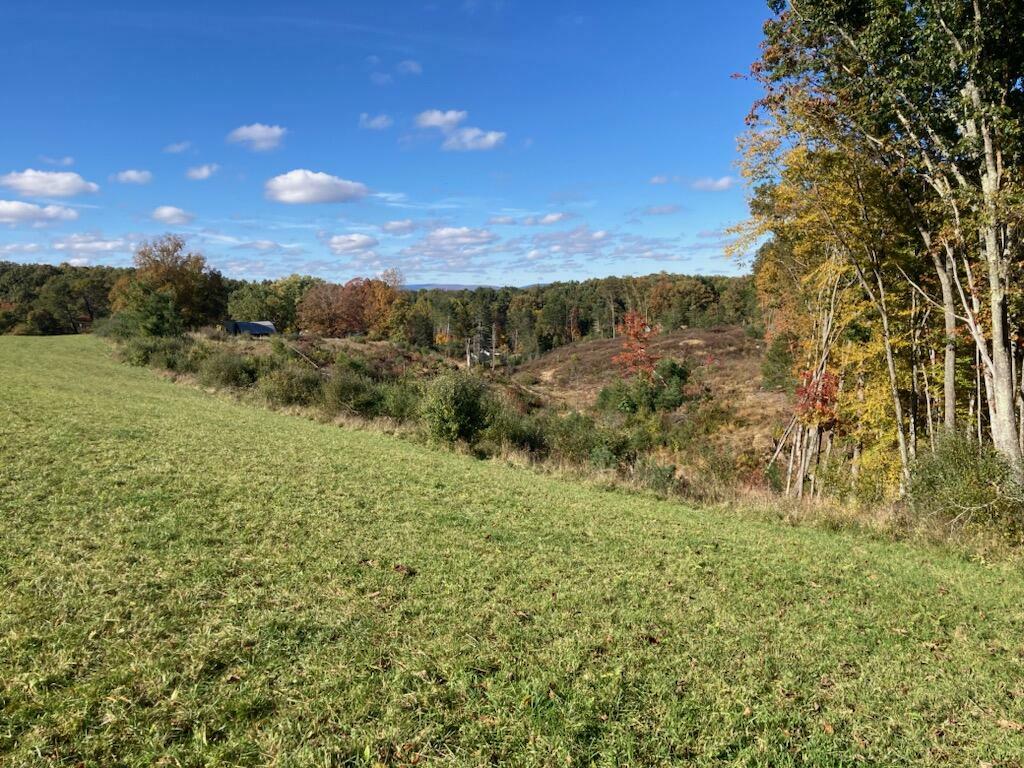 Property Photo:  Tbd Muddy Creek Mountain Road  WV 24901 