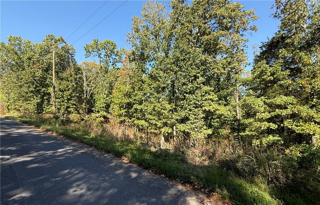 Property Photo:  Lot 10, Block 5 Tummell Drive  AR 72715 