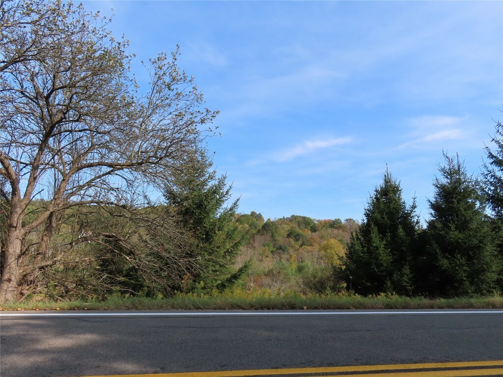 Property Photo:  0 State Highway 41 10.222 #1  NY 13778 