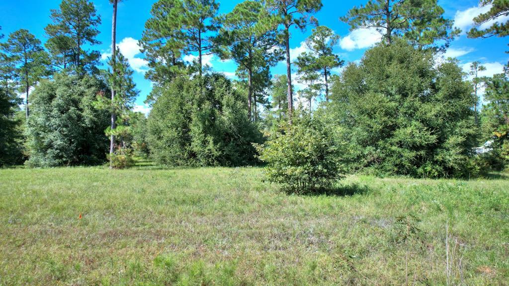 Property Photo:  Lot 13 Blk A - N Coney Rd  GA 31015 