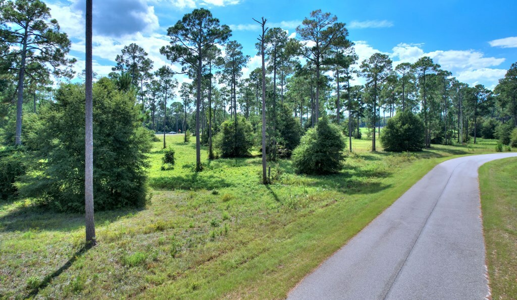 Property Photo:  Lot 46 Blk A - Swann Dr  GA 31015 