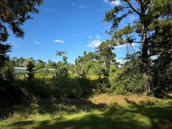 Property Photo:  Lot 73 Pine Park Boulevard  TX 77632 