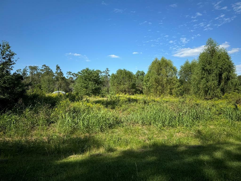 Property Photo:  Lot 72 Pine Park Boulevard  TX 77632 