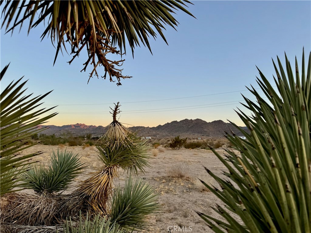 Property Photo:  5858 Neptune Road  CA 92252 