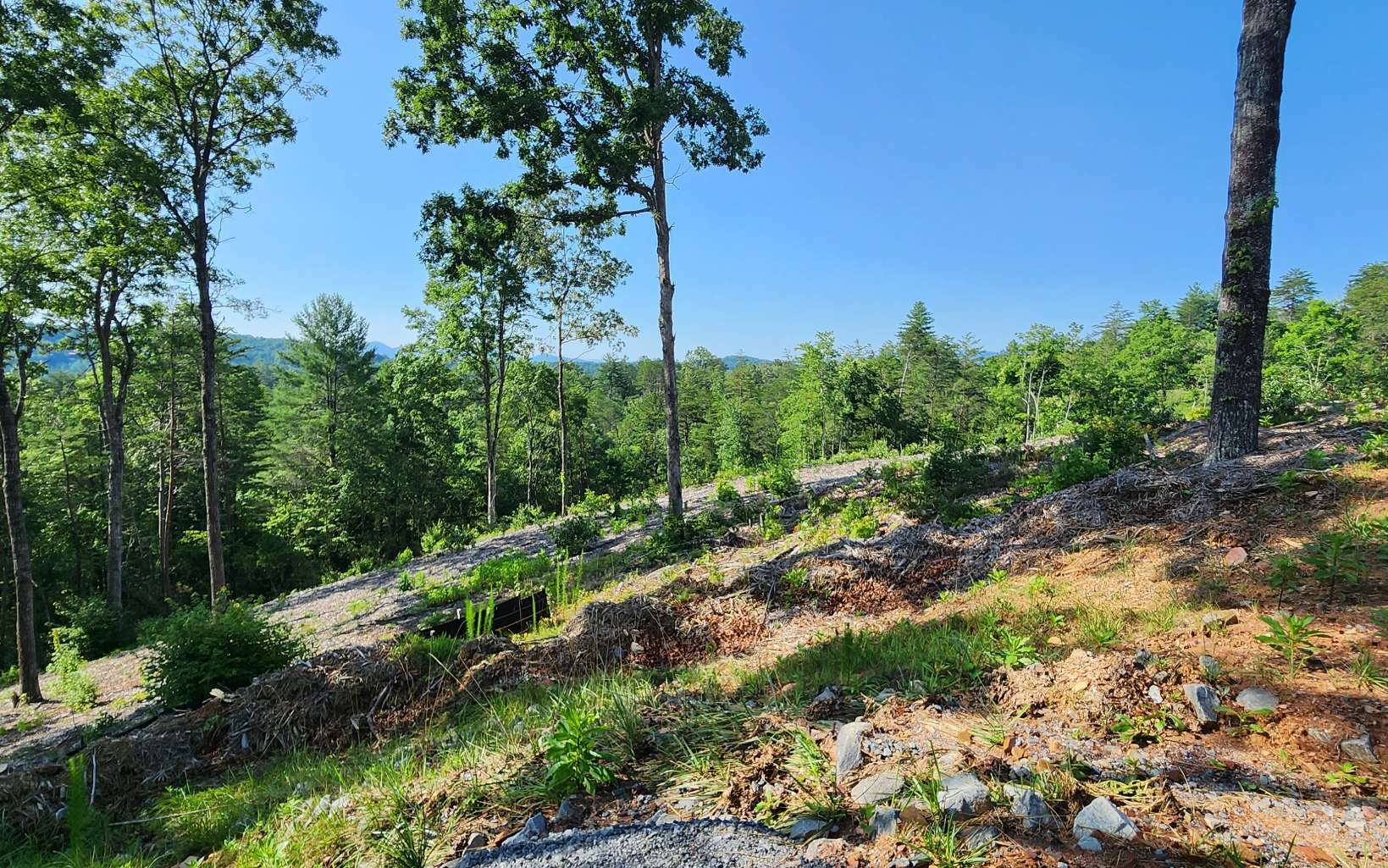 Property Photo:  Lot 18 Mountain Laurel Ridge  GA 30559 