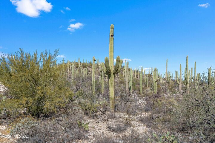 Property Photo:  13716 E Placita Del Inca 8  AZ 85749 