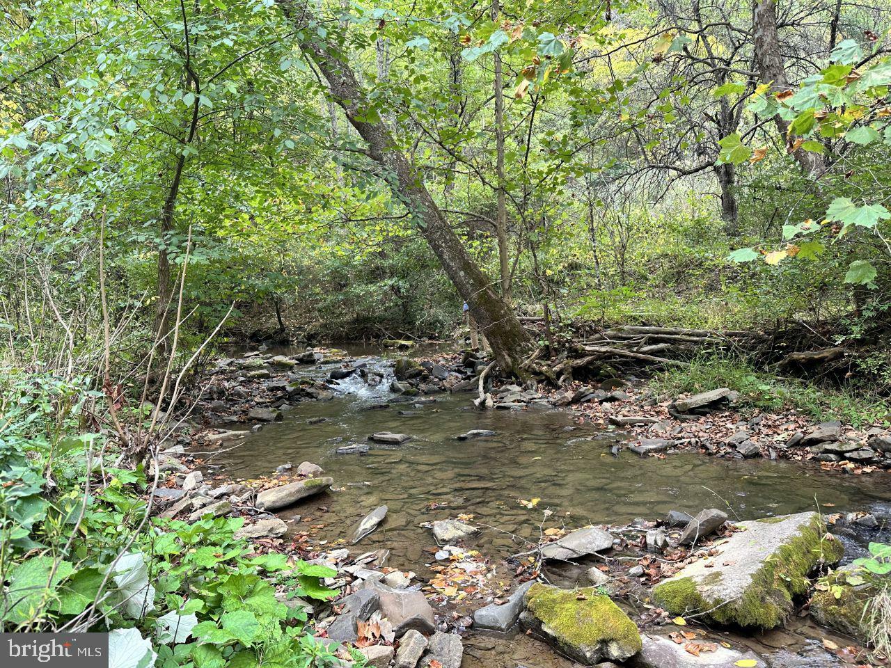 Property Photo:  0 Turkey Creek Road  WV 24983 