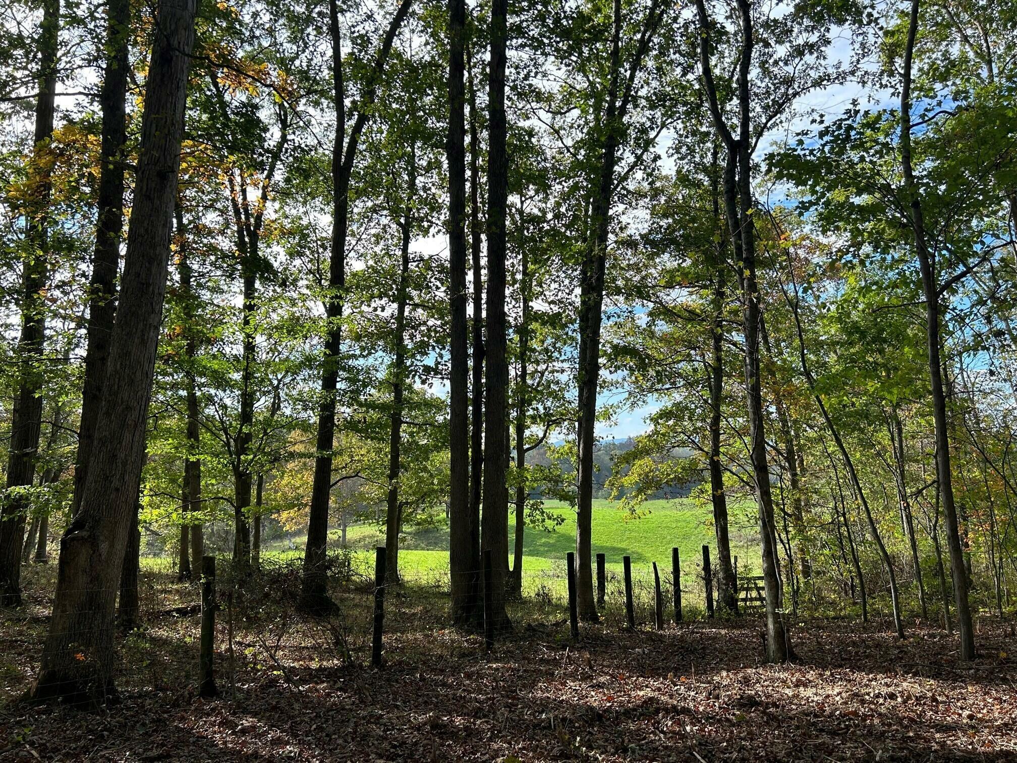 Property Photo:  Lot 4 871 Fleshman Dr  WV 24983 