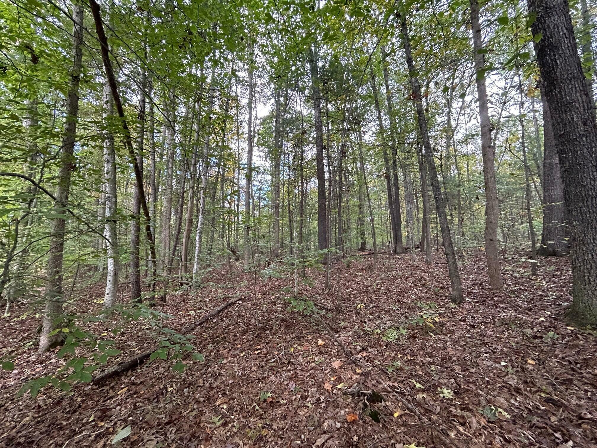 Lot 2 871 Fleshman Dr  Frankford WV 24983 photo