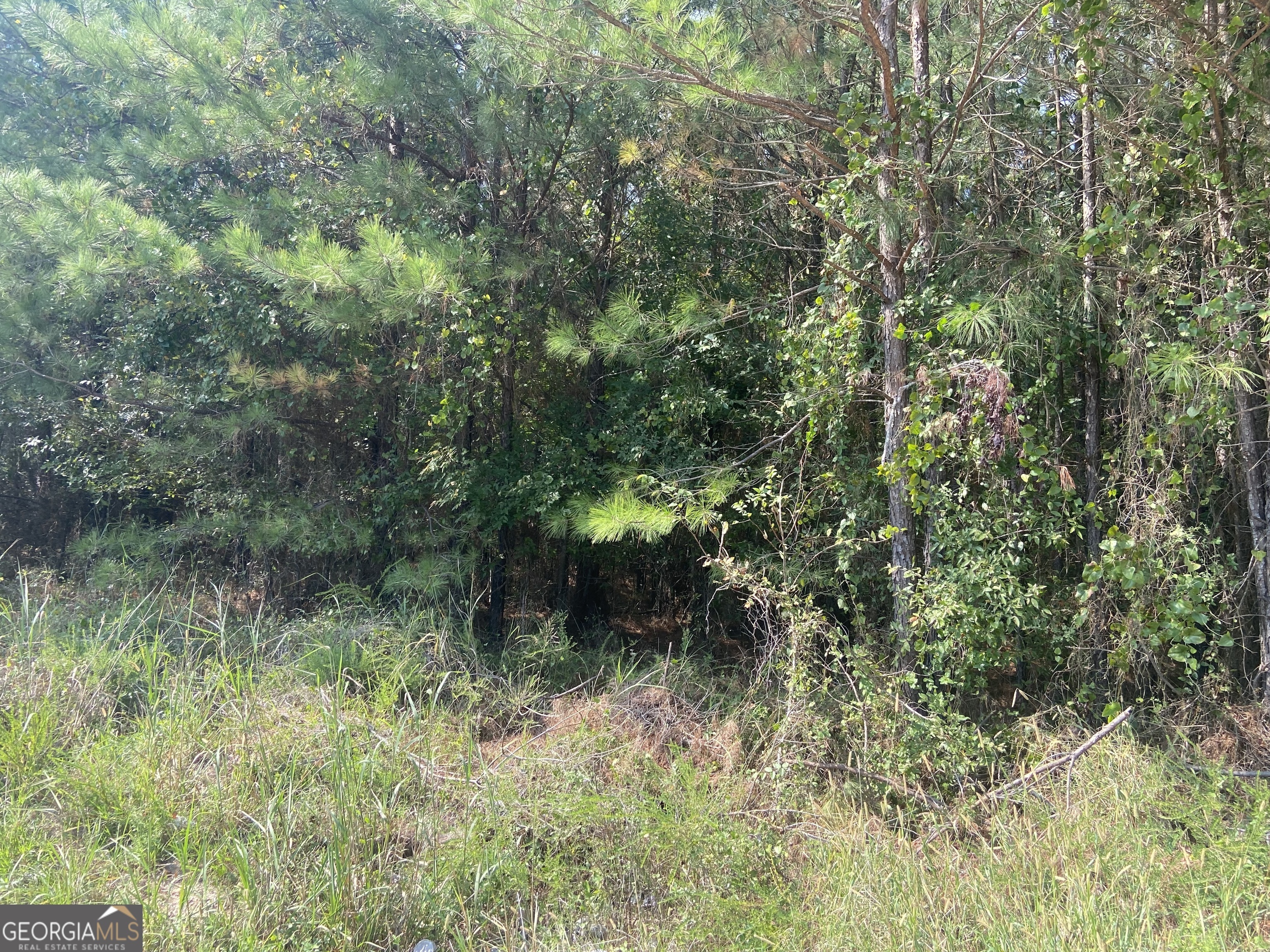 Property Photo:  00 Saggus Rd  GA 30631 