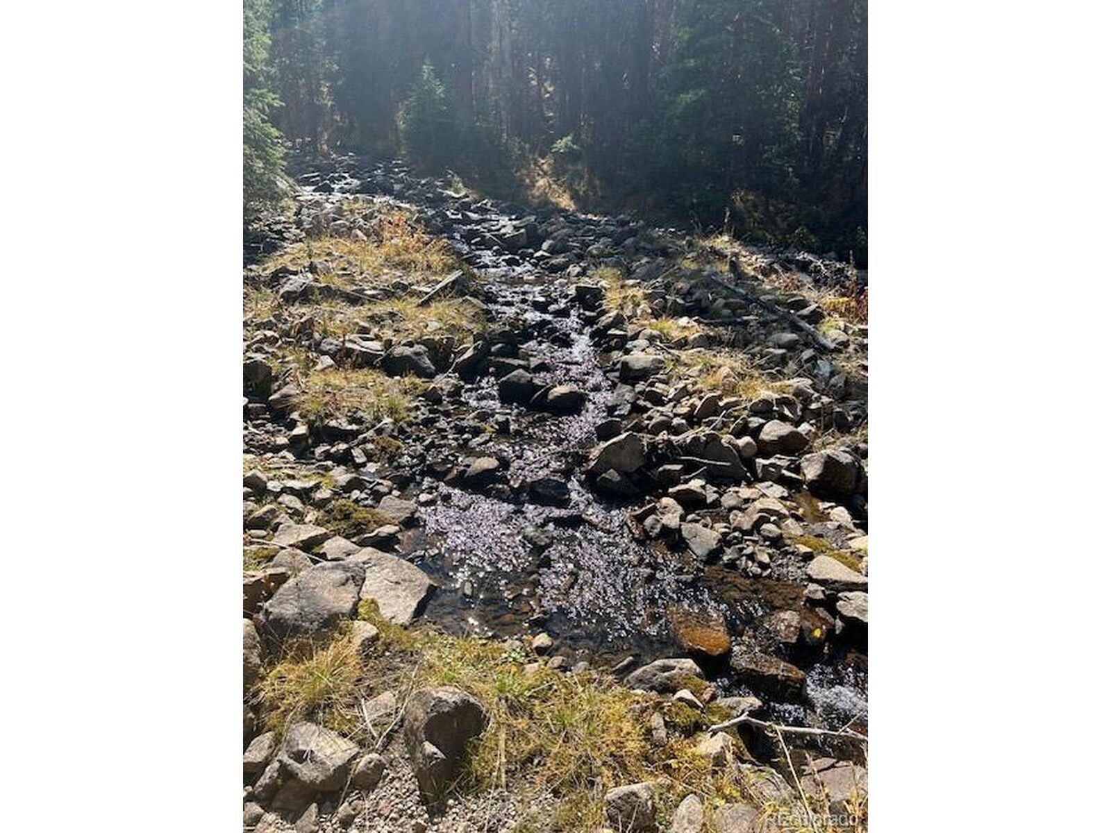 Property Photo:  16667 Little Jesse Mc  CO 81236 