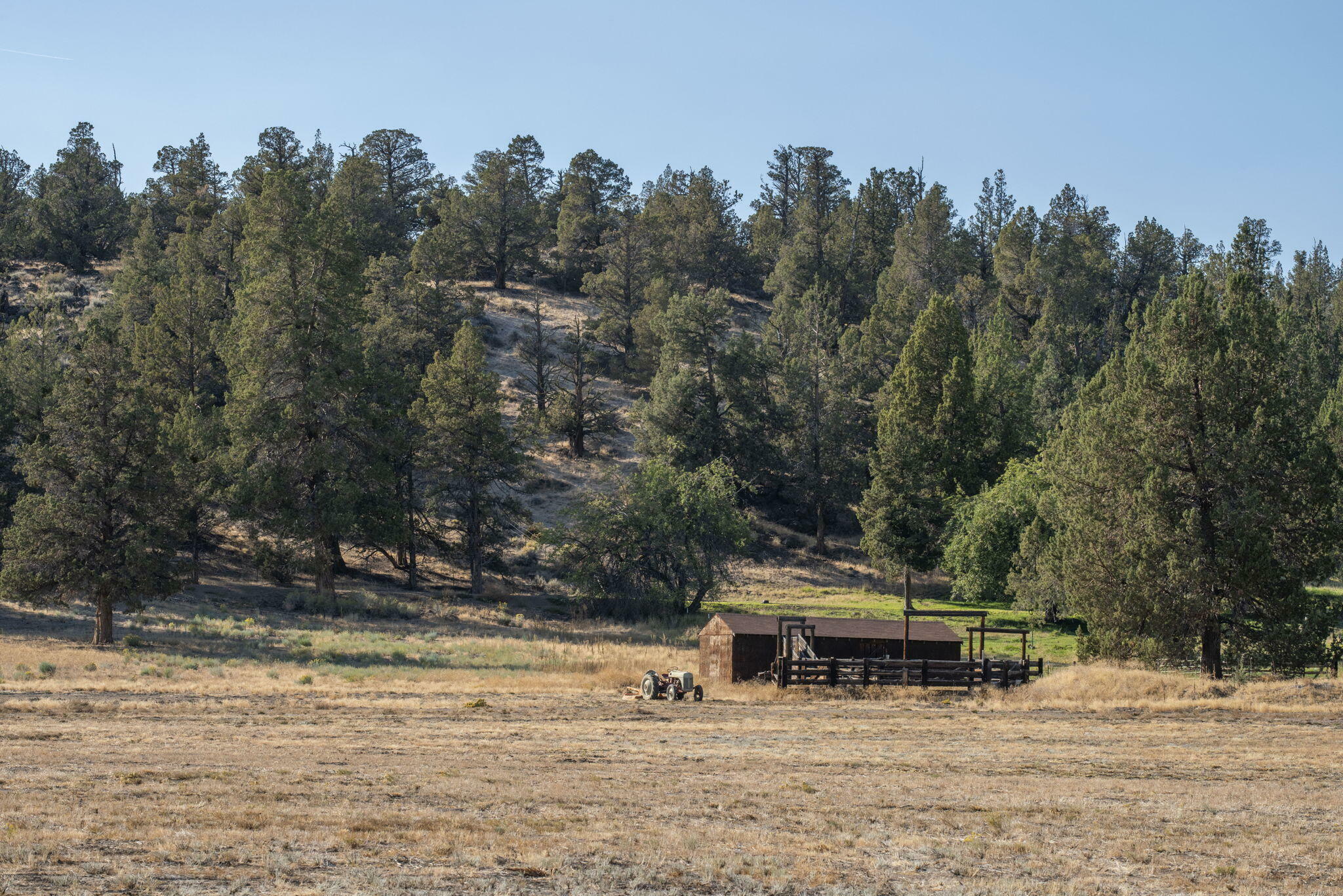 Property Photo:  19450 Dusty Loop  OR 97703 