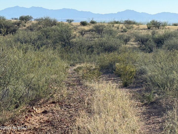 Property Photo: Lot 106 Cottontail Trail - AZ 85630