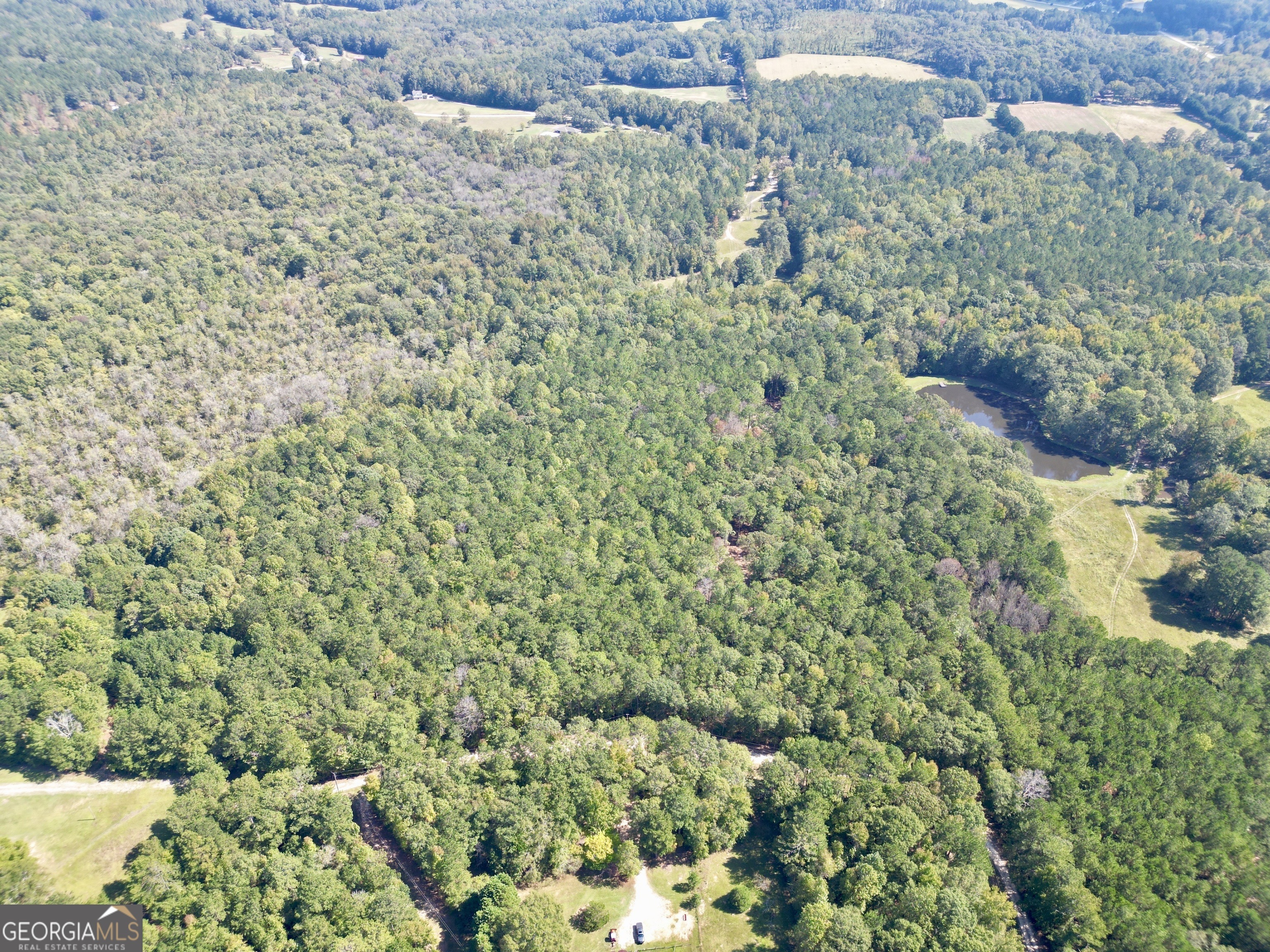 Property Photo:  254 Smoak Field Road  GA 30223 