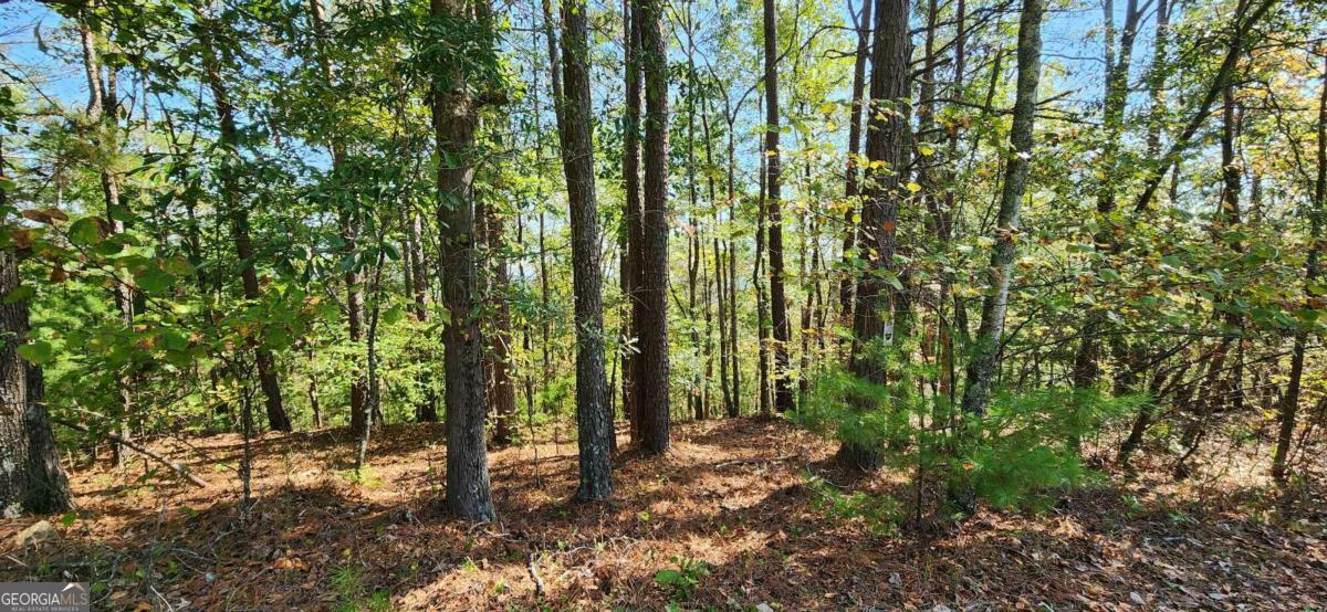 Property Photo:  Lot 1699 Shade Tree Drive  GA 30175 