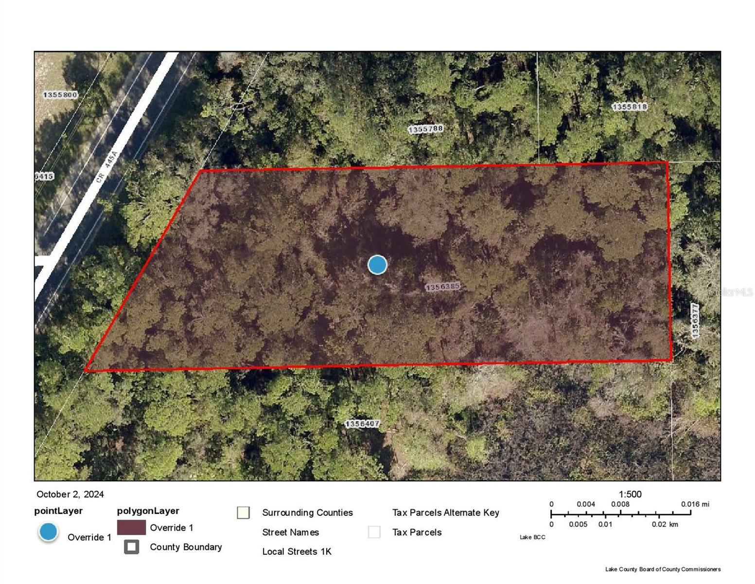 Property Photo:  County Road 445A  FL 32102 