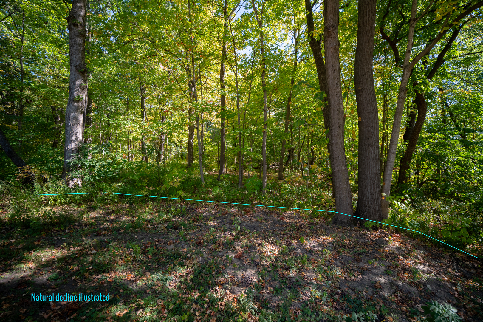 Property Photo:  Lot A Picton &Amp Bloomingdale Rd Road  IL 60108 