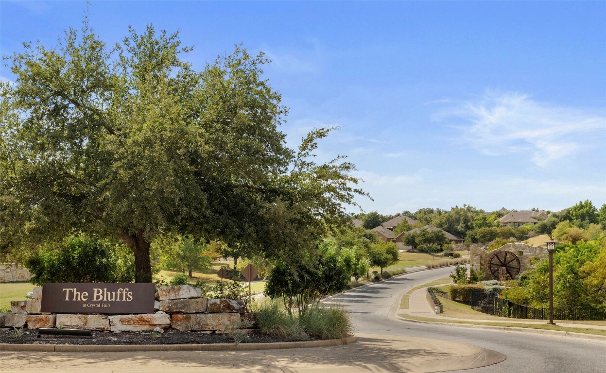 Property Photo:  2937 Fire Rock Drive  TX 78641 