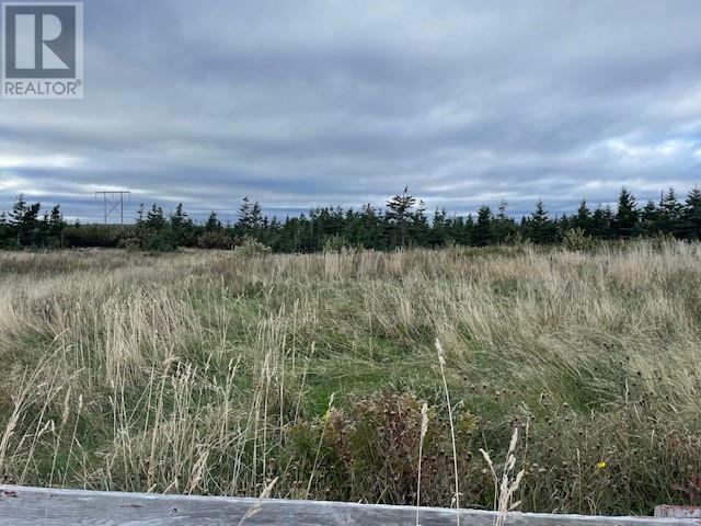 Photo de la propriété:  Lot 4 McIsaac'S Lane  NL A0N 1T0 