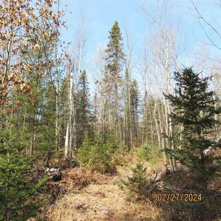 Property Photo:  25.8 Acres Adams Lane  WI 54487 