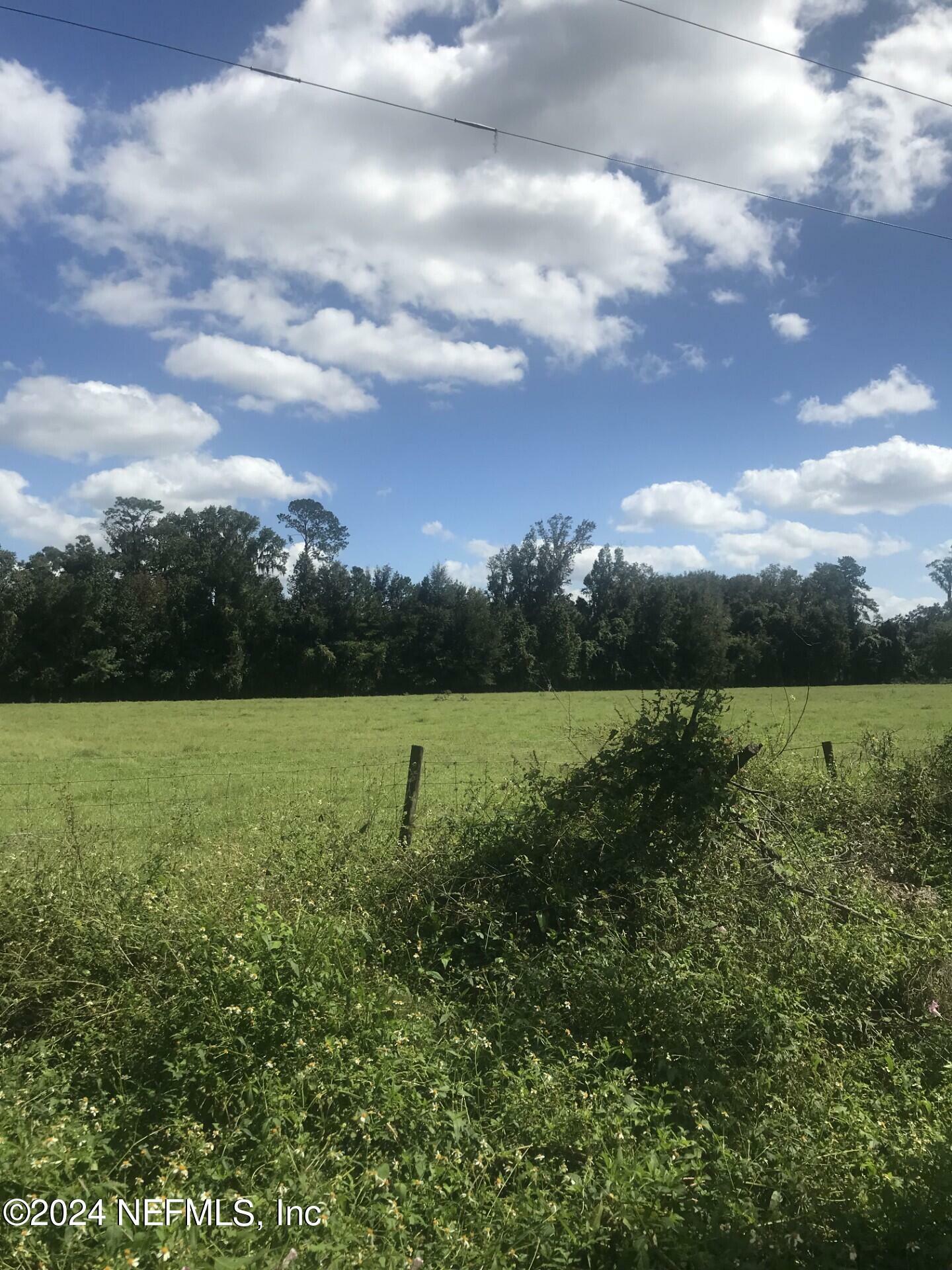 Property Photo:  0 Tanner Road  FL 32140 