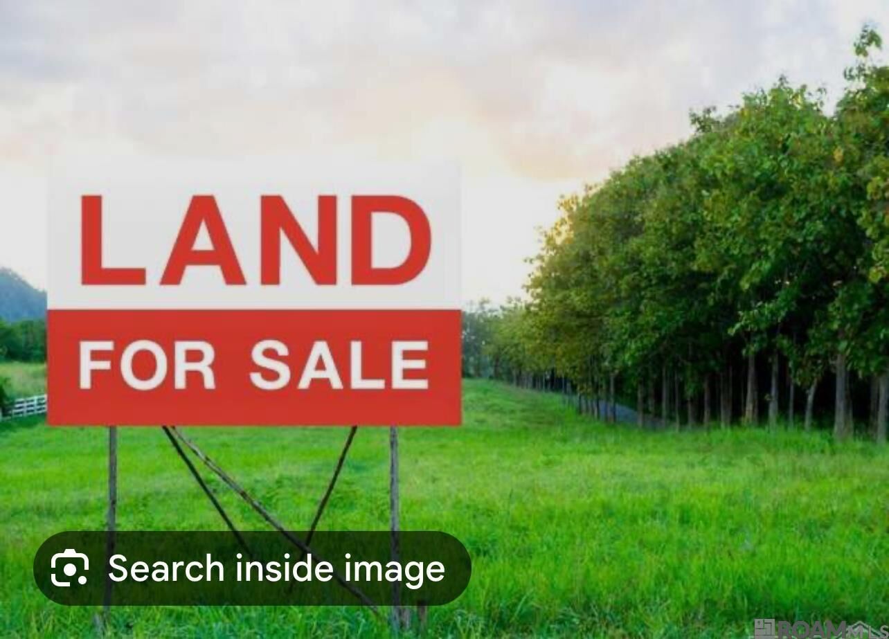 Property Photo:  Lot - 103 Ravier Ln  LA 70776