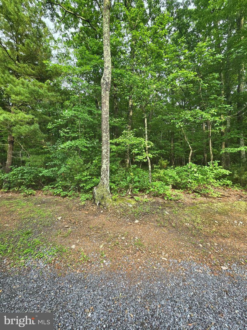 Property Photo:  Lot 4 Cattail Road  VA 22602 