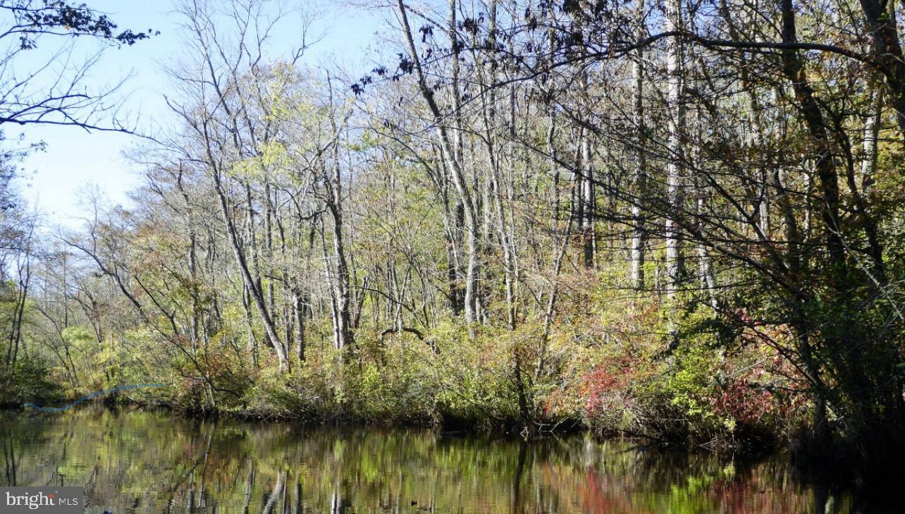 Property Photo: 0 Meadow Bridge Road MD 21863