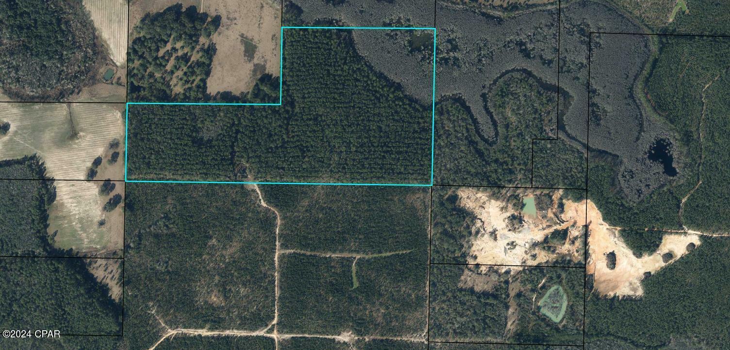 Property Photo:  Tbd Douglas Ferry Road  FL 32462 