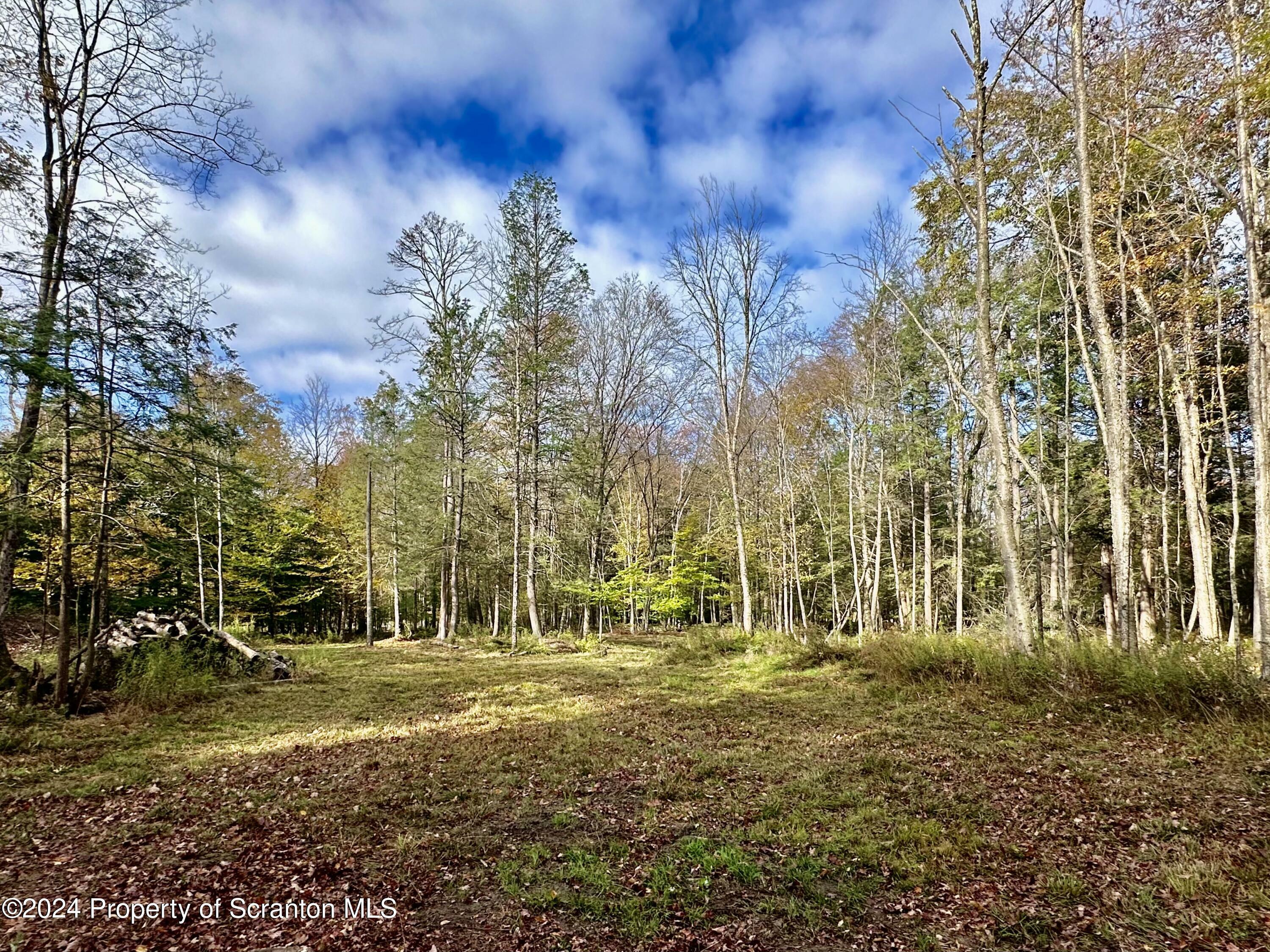 Property Photo:  Stark Road  PA 18470 