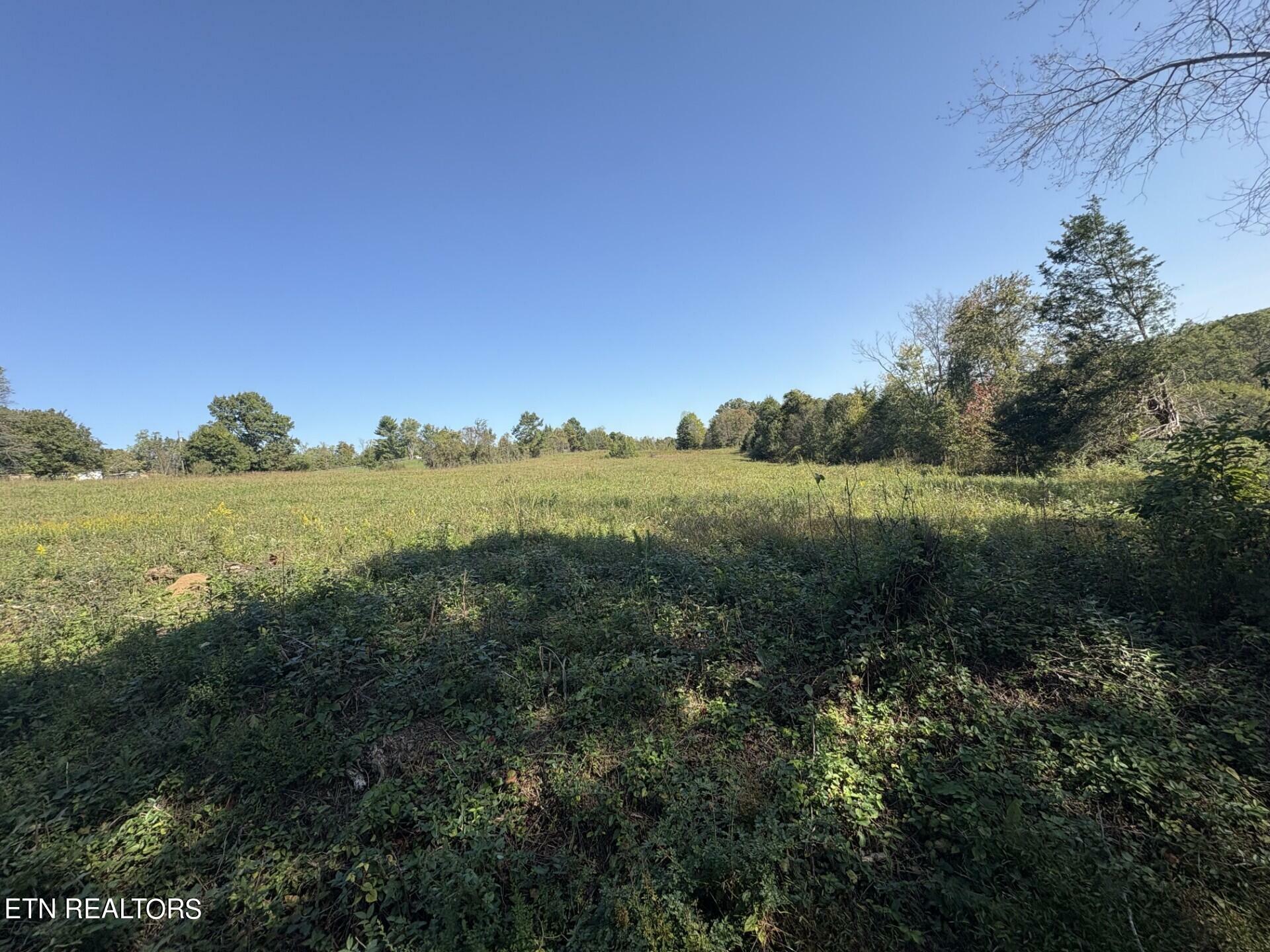 Property Photo:  172 Copenhaver Rd  TN 37771 