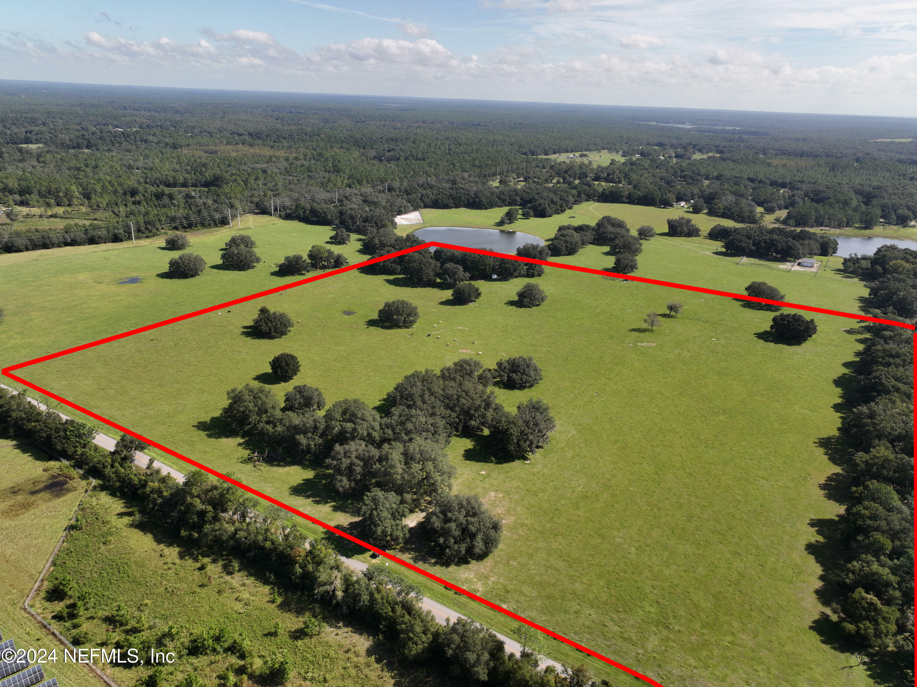 Property Photo:  290 Price Road  FL 32640 