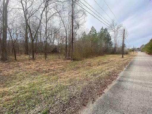 Property Photo:  Pine Rd  VA 23824 