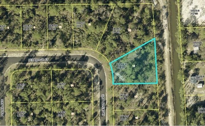 Property Photo: 2124 Jackson Avenue FL 33920