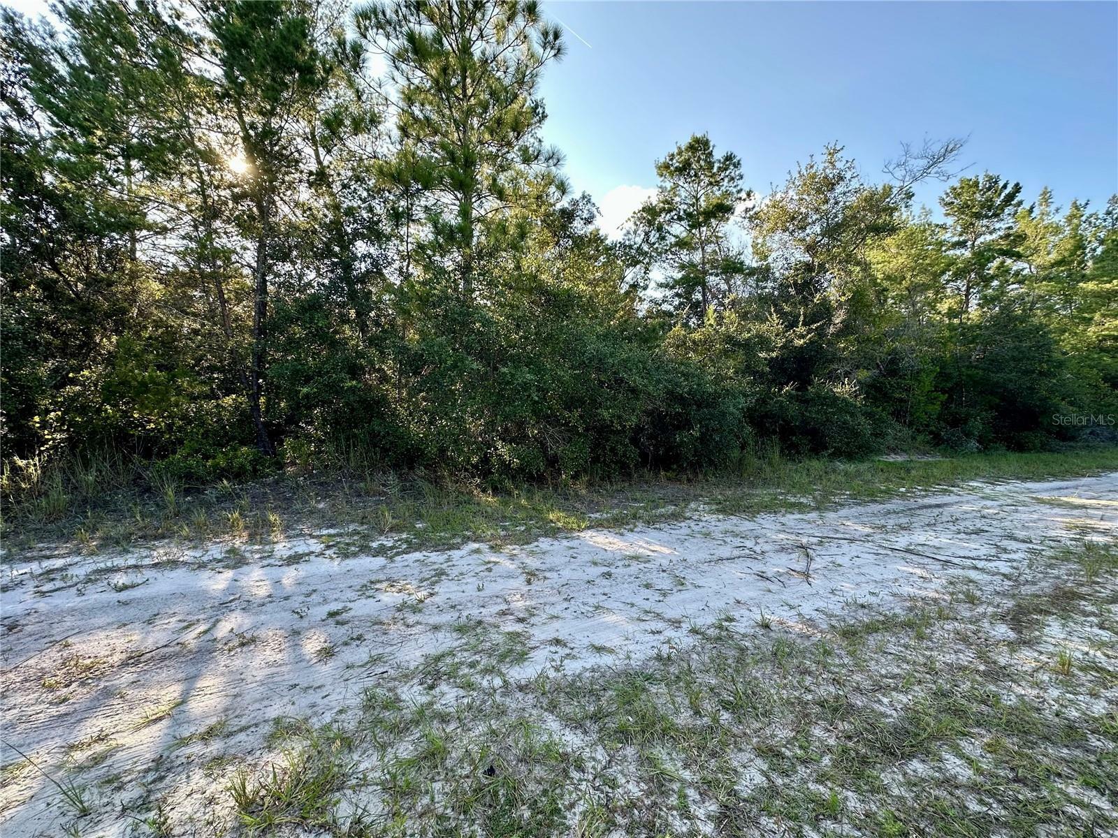 Property Photo:  Central Parkway  FL 32724 