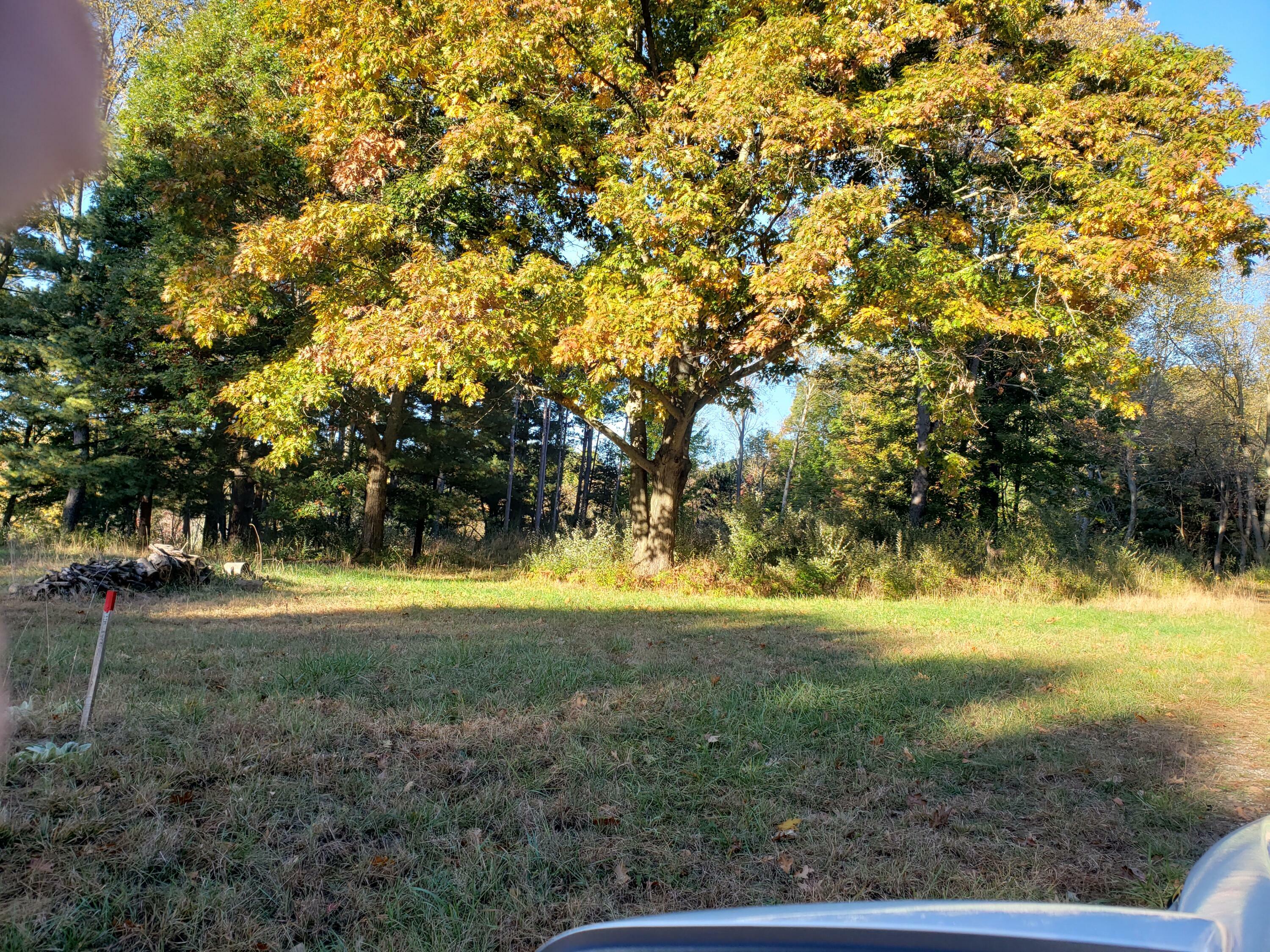 Property Photo: 1025 Ramshorn Drive MI 49412