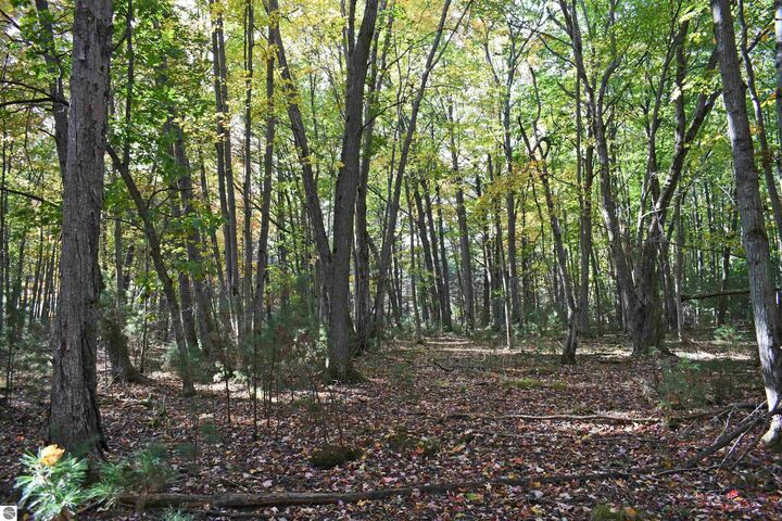 01 Rainbow Drive  East Tawas MI 48730 photo