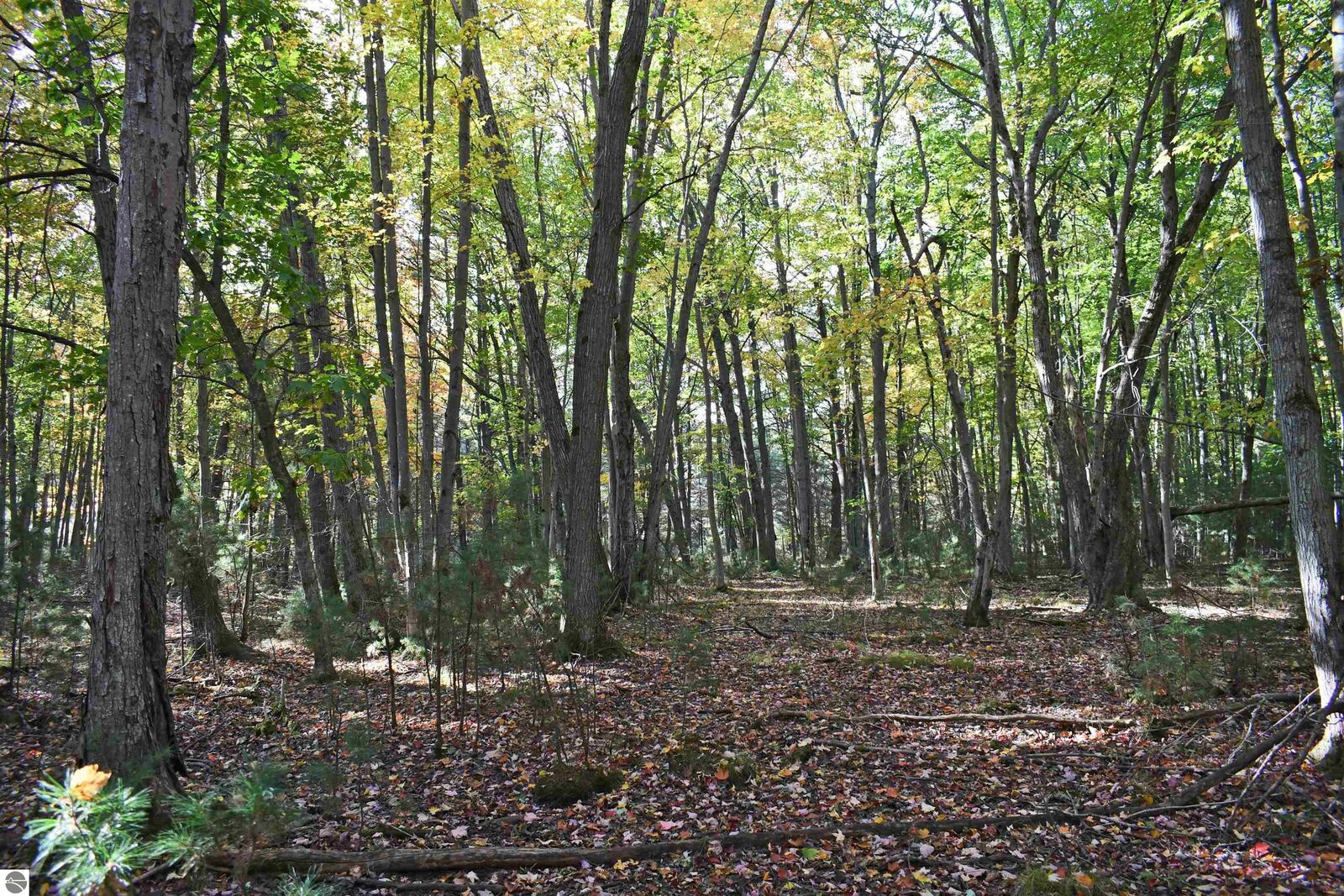 Property Photo: 01 Rainbow Drive MI 48730