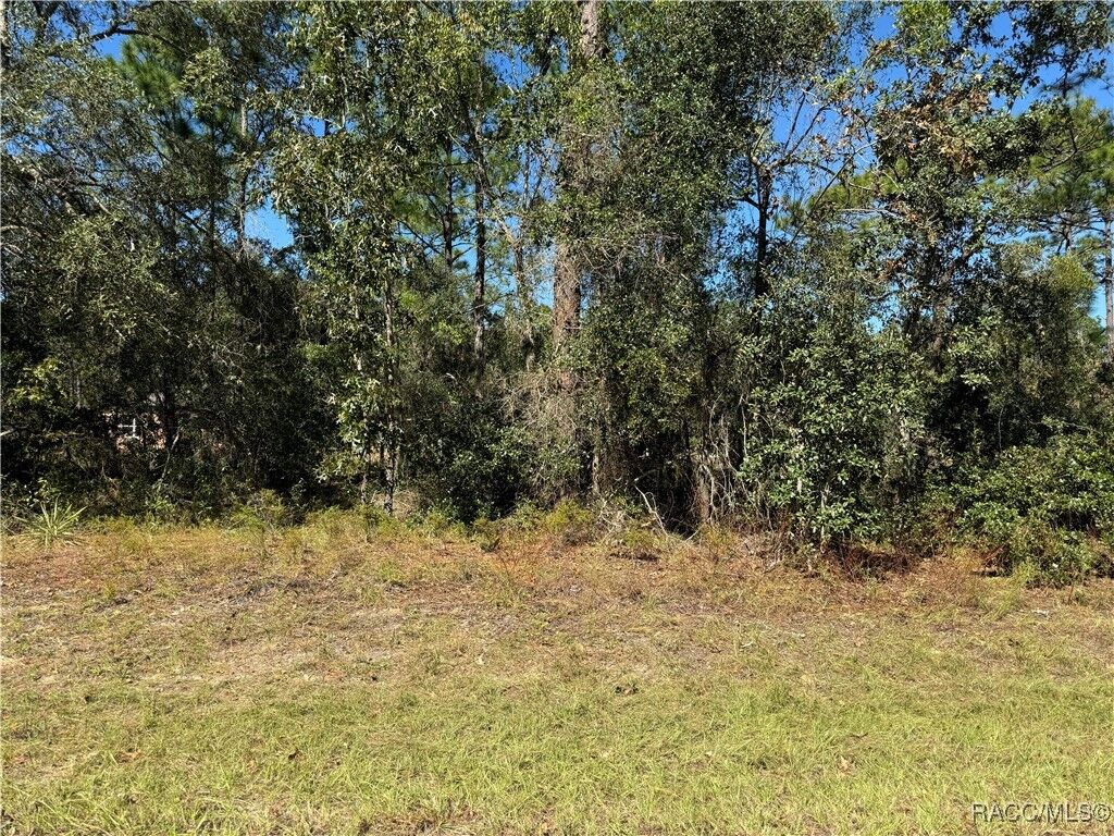 Property Photo: 3671 W Galtonia Lane FL 34433